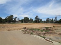58 Ramset Drive, Chirnside Park