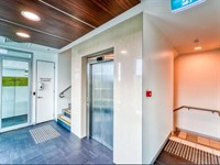 703 Station Street, Box Hill