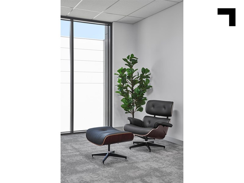 9 Pascal Road, Seaford