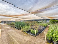 629 Fifteenth Street, Mildura